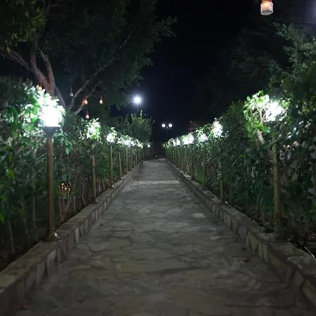 Aphrodite View